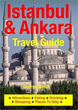 Cover of the book Istanbul & Ankara Travel Guide by Sandra MacKenzie