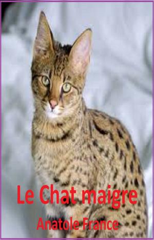 Cover of the book Le chat maigre by Earl Veneris