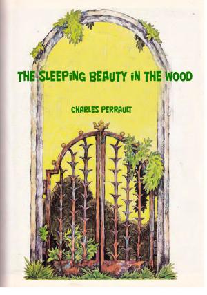 Book cover of The Sleeping Beauty in the Wood