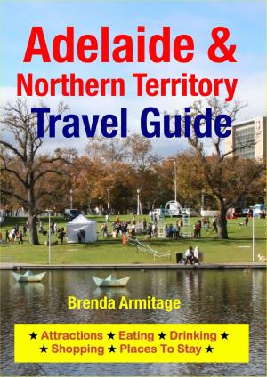 Cover of the book Adelaide & Northern Territory Travel Guide by Raymond Stone