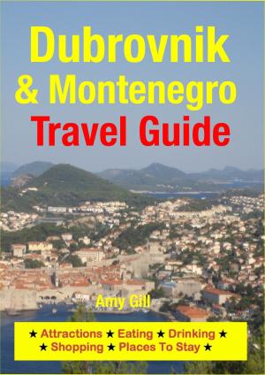 Book cover of Dubrovnik & Montenegro Travel Guide
