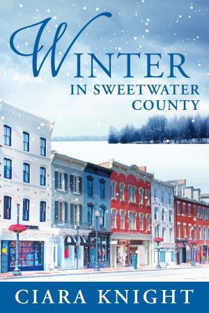 bigCover of the book Winter in Sweetwater County by 