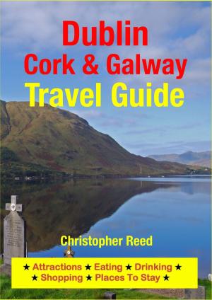 Cover of the book Dublin, Cork & Galway Travel Guide by Cynthia Atkins