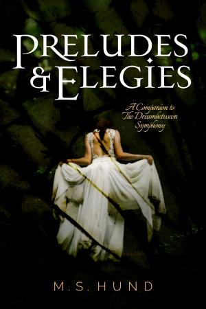 Cover of the book Preludes & Elegies by Chelsea M. Cameron