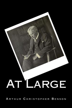 Cover of the book At Large by George Gissing