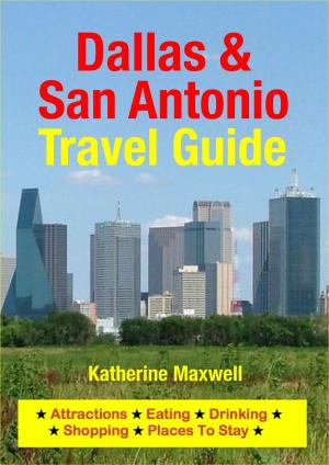 Cover of the book Dallas & San Antonio Travel Guide by Rebecca Kaye