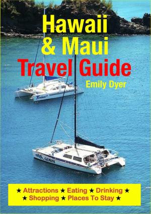bigCover of the book Hawaii & Maui Travel Guide by 