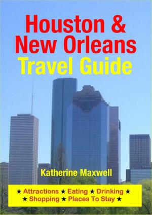 bigCover of the book Houston & New Orleans Travel Guide by 