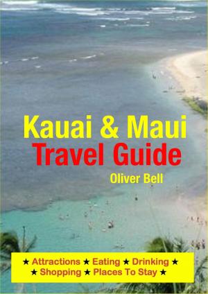 Book cover of Kauai & Maui Travel Guide