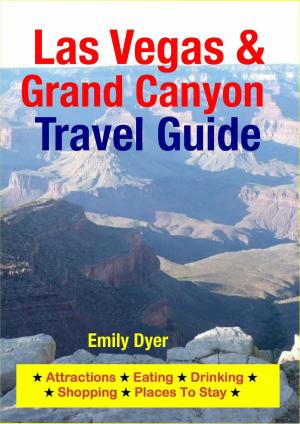Cover of the book Las Vegas & Grand Canyon Travel Guide by Ely Lazar, Adele Thomas