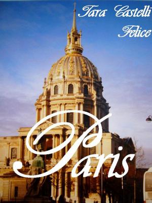 Book cover of Une balade à Paris