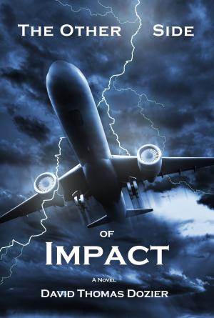 Cover of the book The Other Side of Impact by Joyce McPherson