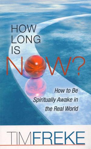 Book cover of How Long is Now?