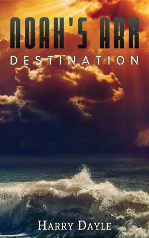 Cover of the book Noah’s Ark: Destination by Jerry Wible
