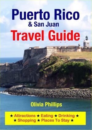 Cover of the book Puerto Rico & San Juan Travel Guide by Shane Whittle