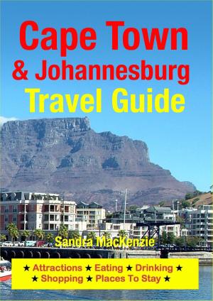 Book cover of Cape Town & Johannesburg Travel Guide
