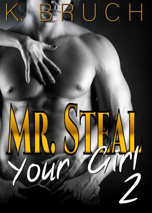bigCover of the book Mr. Steal Your Girl 2 by 