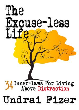Cover of the book The Excuse-less Life by Pam Grout