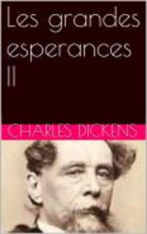 Cover of the book Les grandes esperances II by Jules Claretie