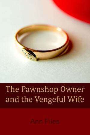Book cover of The Pawnshop Owner and the Vengeful Wife