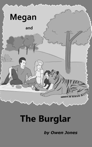 Cover of the book Megan and the Burglar by KC Kendricks