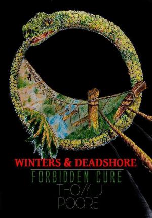 Cover of the book WINTERS & DEADSHORE: FORBIDDEN CURE by Heather Sheridan