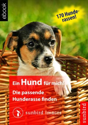 Cover of the book Ein Hund für mich! Die passende Hunderasse finden by Barb Nefer