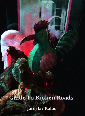 bigCover of the book Guide to Broken Roads by 