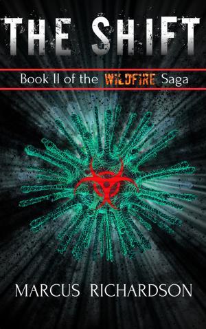 Cover of the book The Shift by Benjamin Wallace