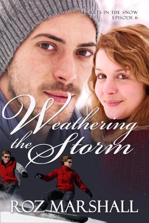Cover of the book Weathering the Storm by Belle McInnes
