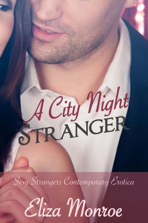 Cover of the book A City Night Stranger by Manu Libera
