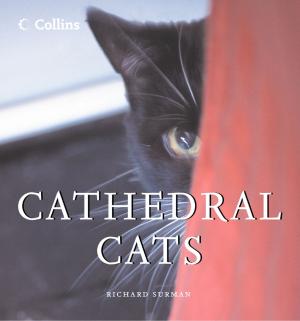Cover of the book Cathedral Cats by Cathy Glass
