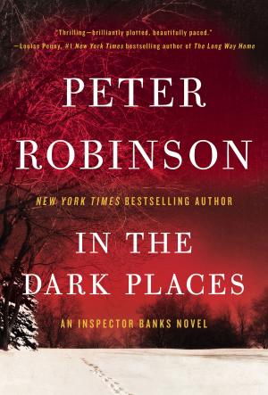 Cover of the book In the Dark Places by Jeremiah Healy