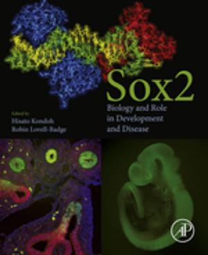 Cover of the book Sox2 by I. Pop, Derek B Ingham