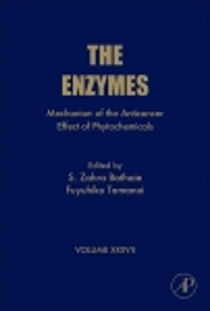 Cover of the book Mechanism of the Anticancer Effect of Phytochemicals by 