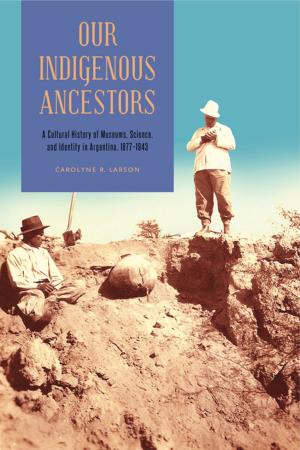 Cover of the book Our Indigenous Ancestors by Robert Stecker