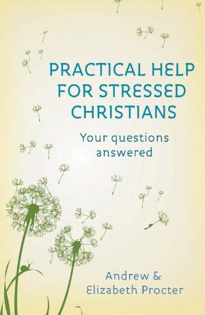 Cover of the book Practical Help for Stressed Christians by Paula Gooder