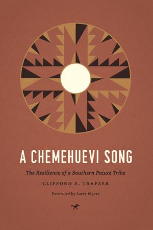 bigCover of the book A Chemehuevi Song by 