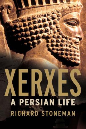 Cover of the book Xerxes by Máirtín Ó Cadhain