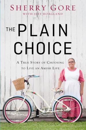 Cover of the book The Plain Choice by Kasey Van Norman, Nicole Johnson, Jada Edwards