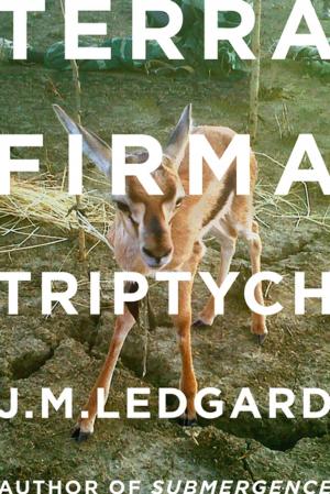 Cover of the book Terra Firma Triptych by James McManus