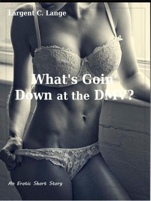 Cover of the book What's Goin' Down at the DMV? (An Erotic Short Story) by Crystal Santacruz