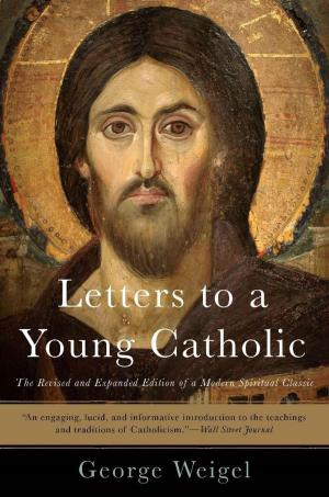 Book cover of Letters to a Young Catholic