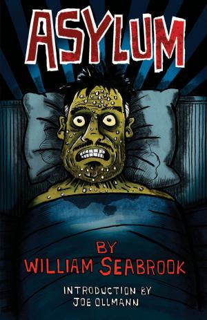 Cover of the book Asylum by Lynne Huysamen