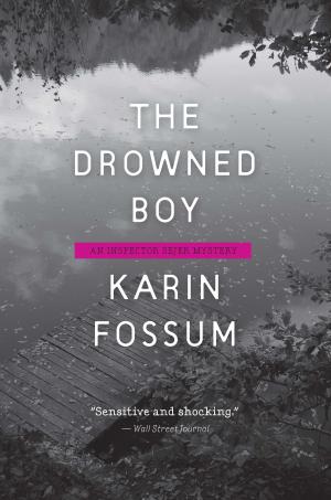 Cover of the book The Drowned Boy by Pieter Aspe