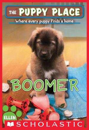 Cover of the book Boomer (The Puppy Place #37) by Janet Foxley