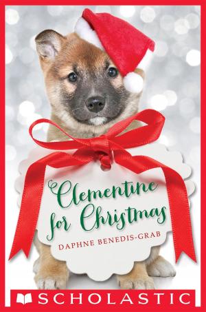 Cover of the book Clementine for Christmas by Katie Finn