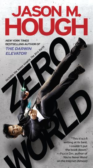Cover of the book Zero World by Karen Renshaw Joslin