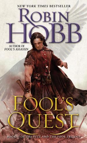 Cover of the book Fool's Quest by K. Anthony Pagano