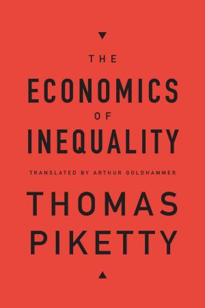 Cover of the book The Economics of Inequality by Raúl Coronado